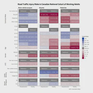 Risk Factors and Inequities in Transportation Injury and Mortality in the Canadian Census Health and Environment Cohorts (CanCHECs)